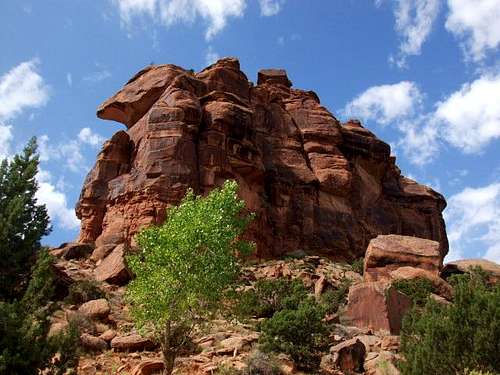 Big Dominguez Canyon