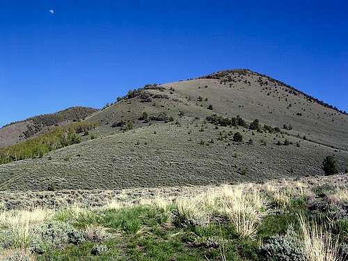 North Shoshone Peak