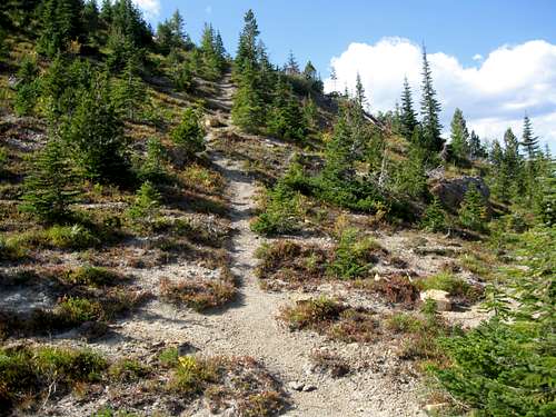 Ousel Peak Trail