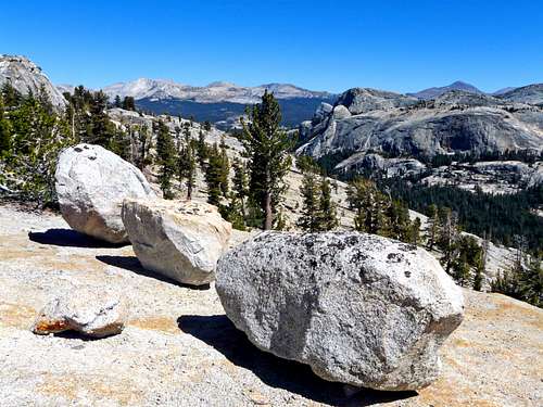 Glacial erratics, northeast  from Polly Dome