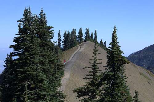 The last stretch of High Ridge