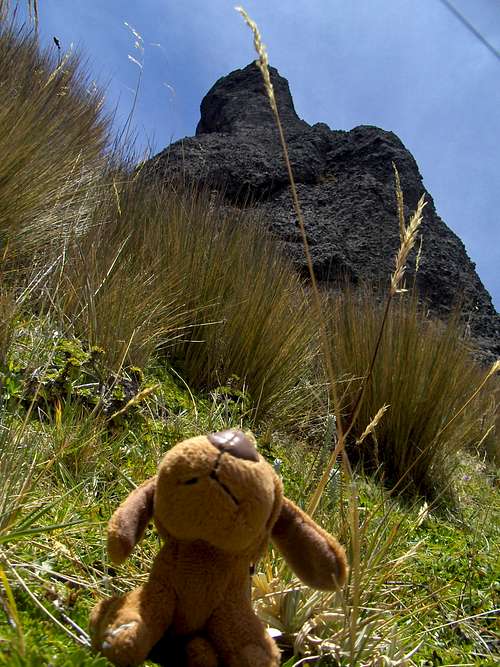 At the base of Cerro Puntas