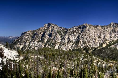 McGown and McGown Needle