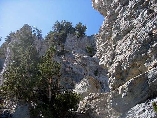Cliffs behind Devil's Thumb