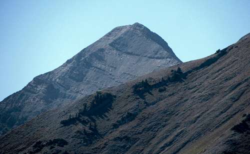 Mount Nebo Summit Cone
