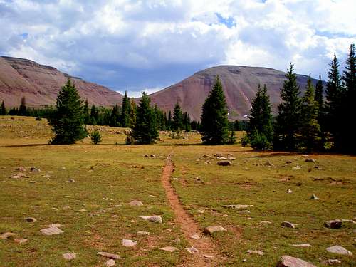 Little East Fork Blacks Fork Trail