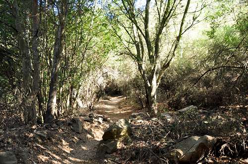 Trail to San Ysidro Canyon