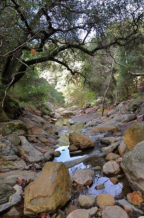 San Ysidro Creek...