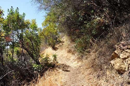 San Ysidro Canyon Trail