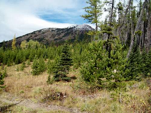 Elk Mountain from near the Trailhead