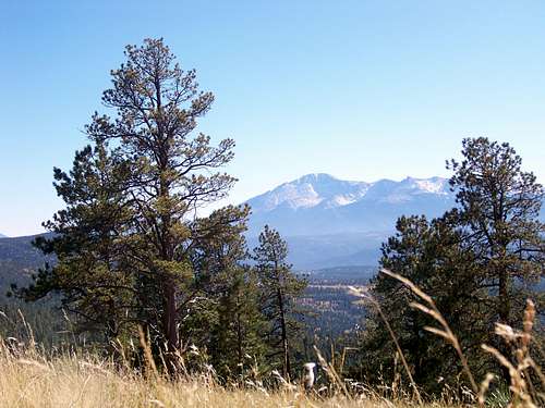 Pikes Peak from grassy meadow