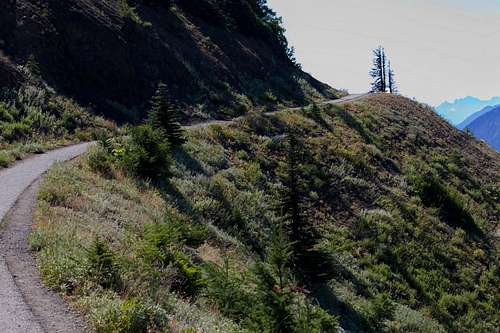 Hurricane Hill Trail