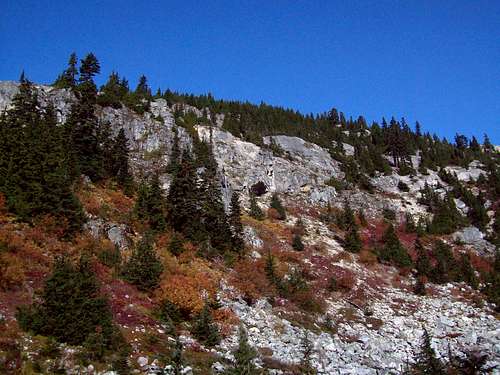 Fall in the Cascades