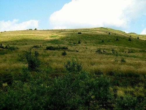 Polonina Bukowska – slope of Mount Rozsypaniec