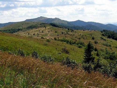 Polonina Bukowska – view towards Mount Kinczyk Bukowski (1251 m)