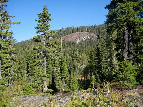 Mt Drabble from Slingshot Meadows