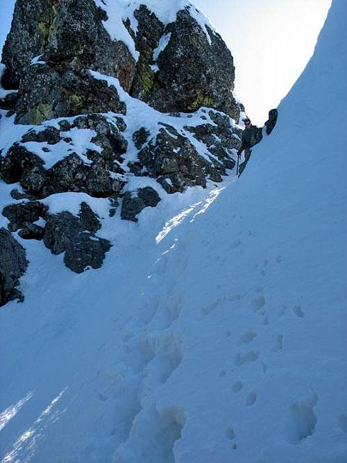 Looking Up Gully