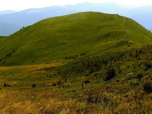 Carynska Meadow - Highpoint 1239 m 