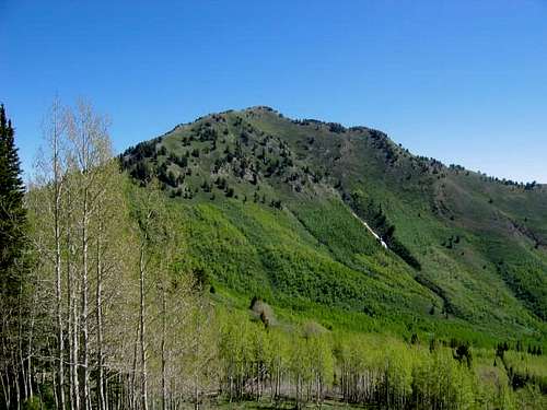 View of Gobblers Knob from...