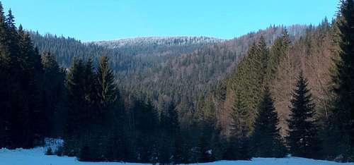 Bielice valley, Góry Bialskie