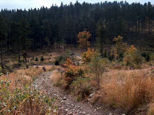 Rychlebskie mountains in Autumn