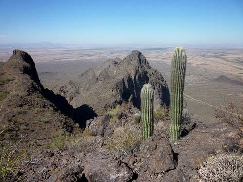 Another view from Picacho