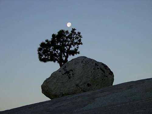 Moonrise at Olmstead Point...
