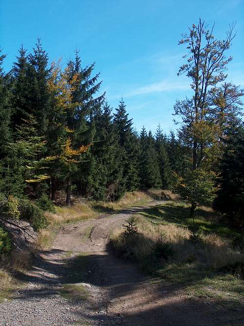 Hiking Wielka Sowa from Lasocin