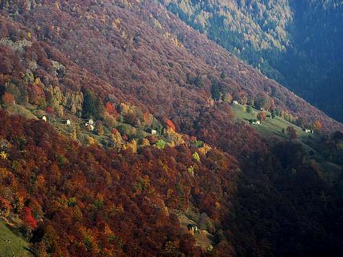 Autumn in Valgerola