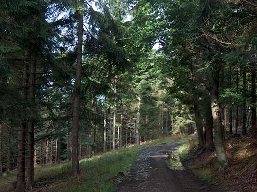 Trail on the south side of Wielka Sowa