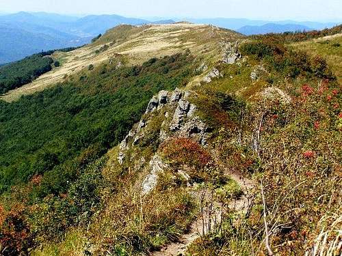 Ridge of Mount Bukowe Berdo (1311 m)
