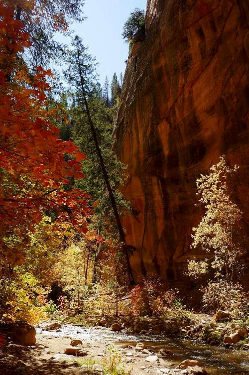 The upper Virgin River Narrows