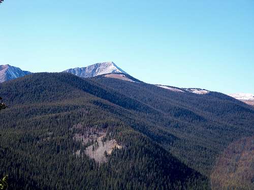 Mount Guyot from the summit