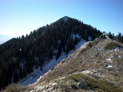 Lewiston Peak