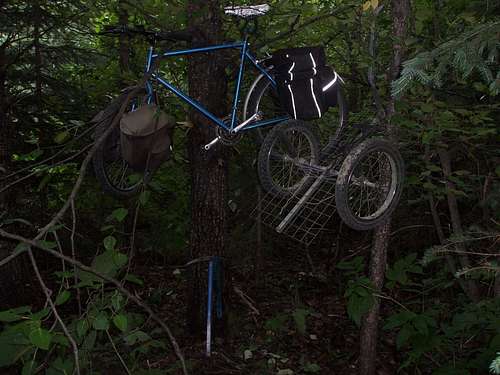 Bike and trailer on trees