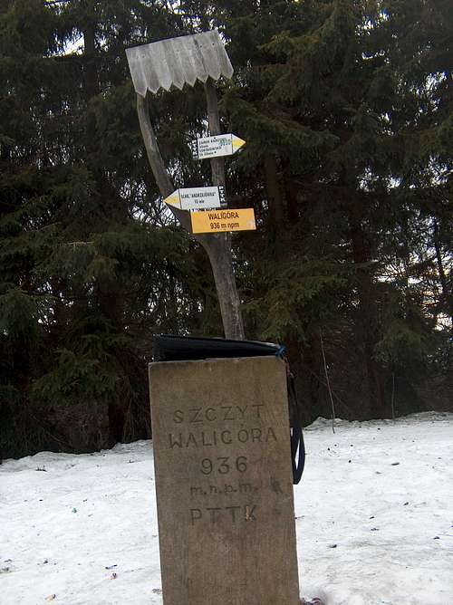 Top of Waligóra