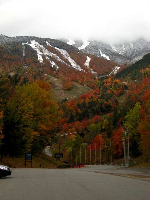 Whiteface in autumn