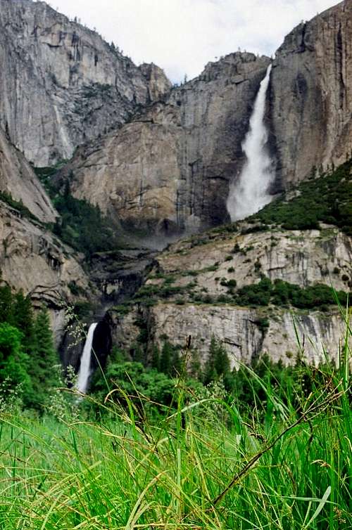 Yosemite Falls in spring from meadow