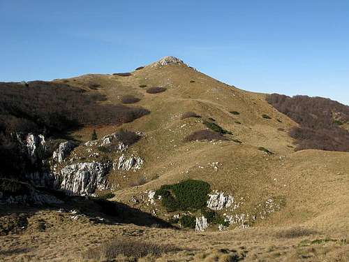 SE slopes of Međuvrhi peak