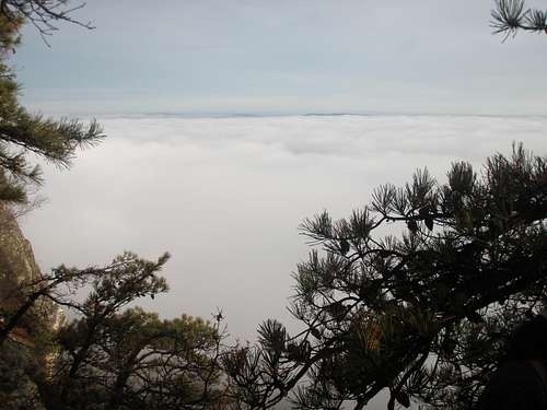 Above the Clouds in the Gunks
