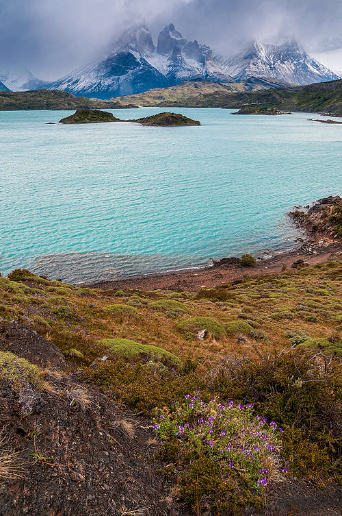 pehoe lake and cuernos del paine
