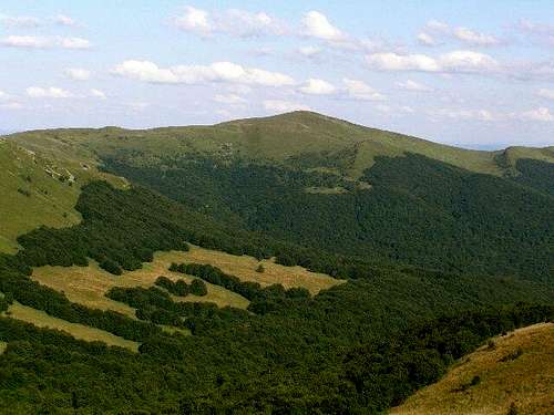 Mount Halicz (1333 m)