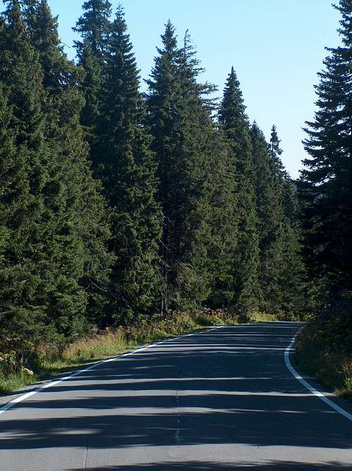 Asfalt road to Praděd from Karlova Studanka