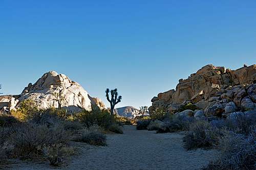 Late afternoon sun on Echo Rock