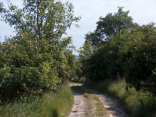Trail between Radunia and Ślęza