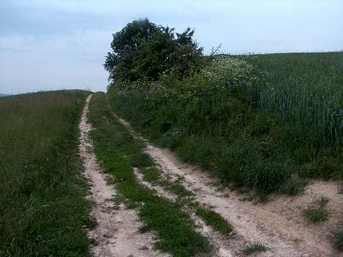 Ślęza, trail to the Oleszeńskie hills