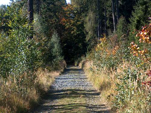 Autumn on the Ślęza trails