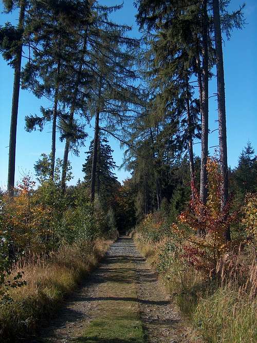 Autumn on the Ślęza trails