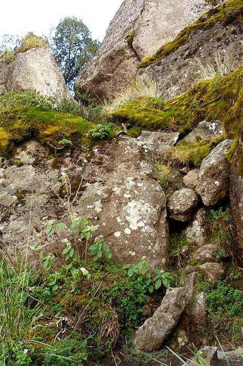 Peñón del Rosario