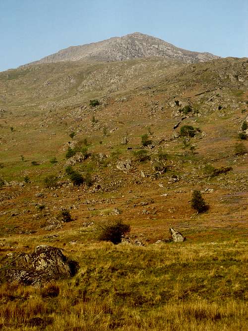 Moel Hebog